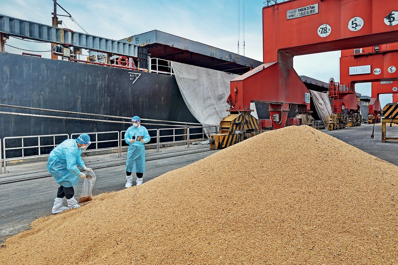 Embarques de soja para China devem atingir pico em maio